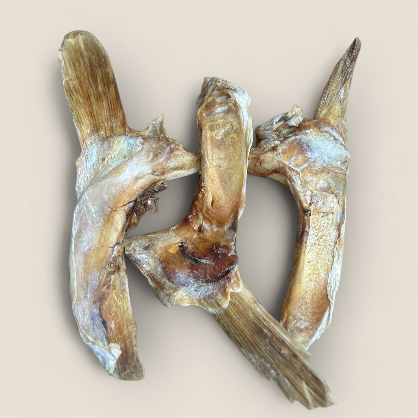 fish collarbone