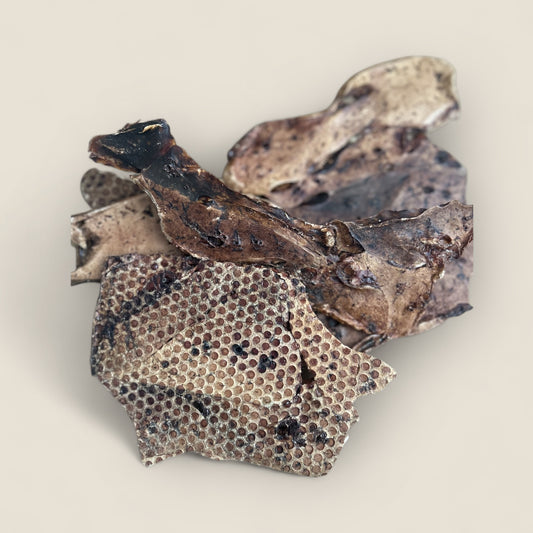 lamb lung