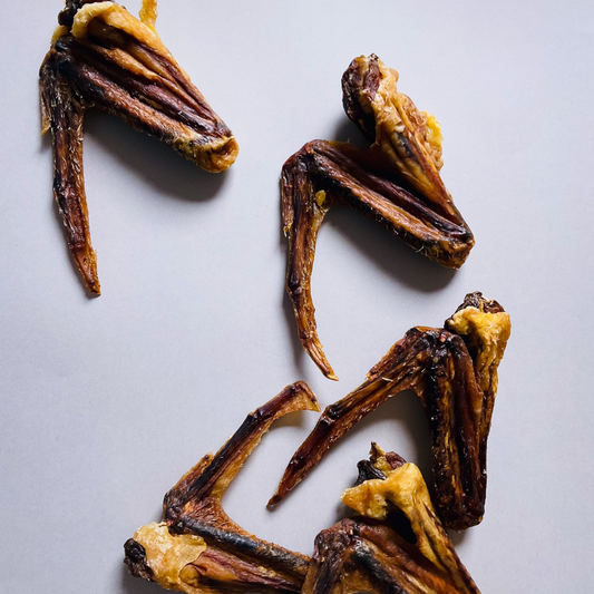 duck wing